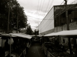 wednesday markets, Tlalpan, Mexico City